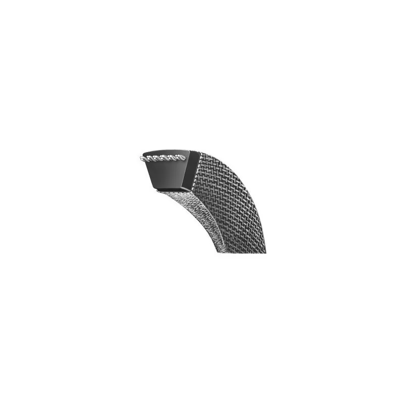 FIELD QUEEN  Replacement belt