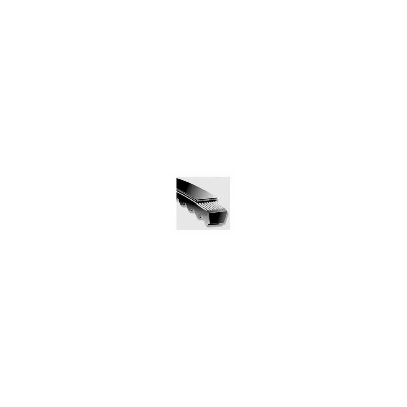 5VX1469 / Raw Edge Cogged Belt, 146.9 in Outside Length