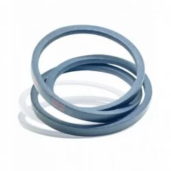 5L310 Fractional V belt